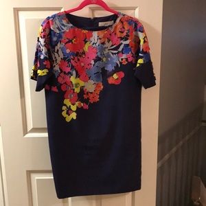 Ann Taylor Loft Dress